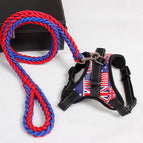 Red blue / L