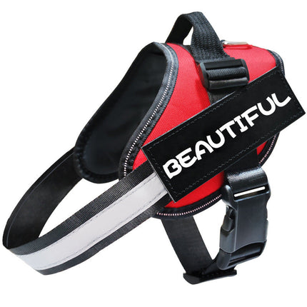 Reflective dog leash and harness made of polyester, scalable, available in various sizes (XS-XXL), color as shown.