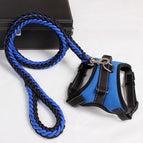 Blue / L