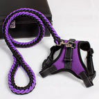 Purple / L