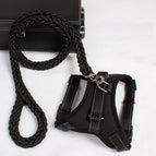Black / L