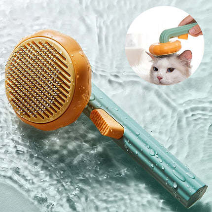 Katzenbürste