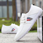 39 / C37 white