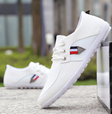 Herren-Segeltuchschuhe - Weiche Sohle, Sport &  Herren-Segeltuchschuhe