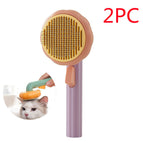 Purple Orange 2PC